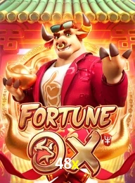 48X.COM